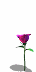 khald-mehdi@hotmail.com