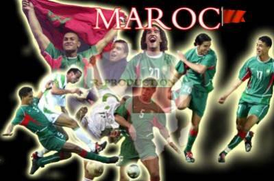 les lions