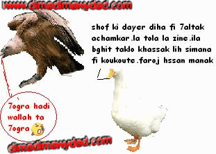 dima wydad